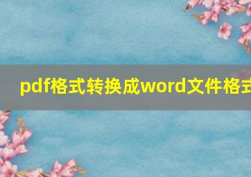 pdf格式转换成word文件格式