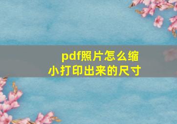 pdf照片怎么缩小打印出来的尺寸