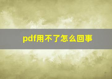 pdf用不了怎么回事