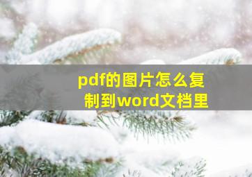 pdf的图片怎么复制到word文档里