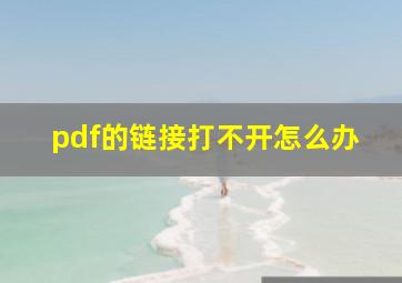 pdf的链接打不开怎么办