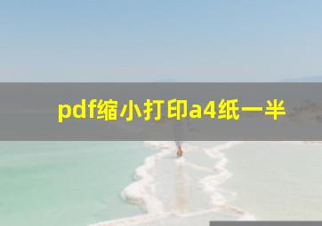 pdf缩小打印a4纸一半