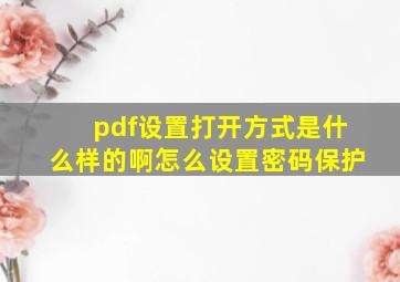 pdf设置打开方式是什么样的啊怎么设置密码保护