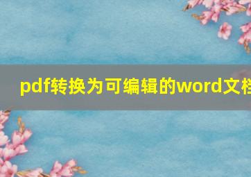 pdf转换为可编辑的word文档