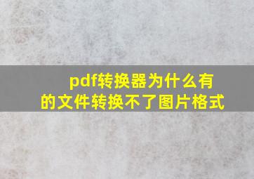 pdf转换器为什么有的文件转换不了图片格式