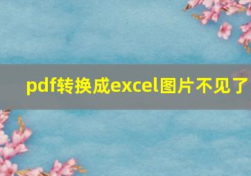 pdf转换成excel图片不见了