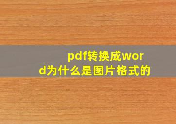 pdf转换成word为什么是图片格式的