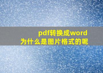 pdf转换成word为什么是图片格式的呢