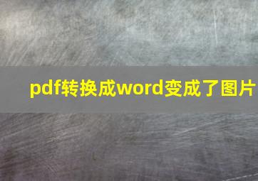 pdf转换成word变成了图片