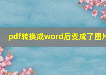 pdf转换成word后变成了图片