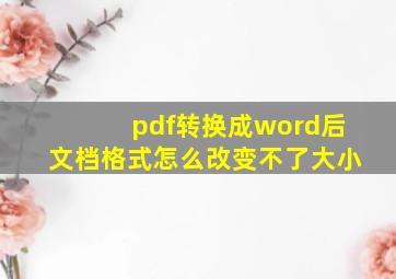 pdf转换成word后文档格式怎么改变不了大小