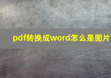 pdf转换成word怎么是图片