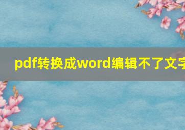 pdf转换成word编辑不了文字