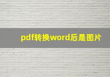 pdf转换word后是图片