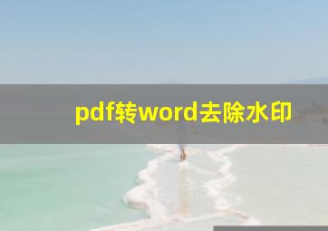 pdf转word去除水印