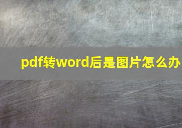 pdf转word后是图片怎么办