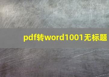 pdf转word1001无标题