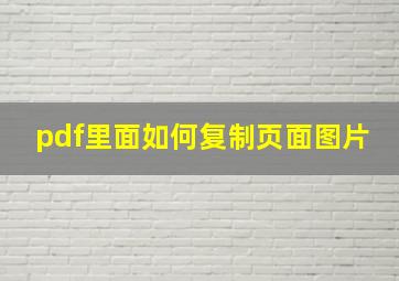 pdf里面如何复制页面图片