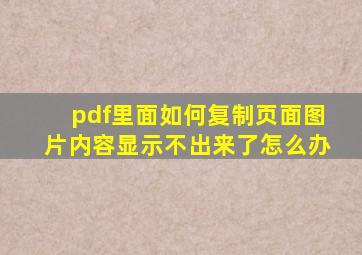 pdf里面如何复制页面图片内容显示不出来了怎么办