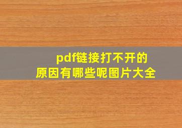 pdf链接打不开的原因有哪些呢图片大全