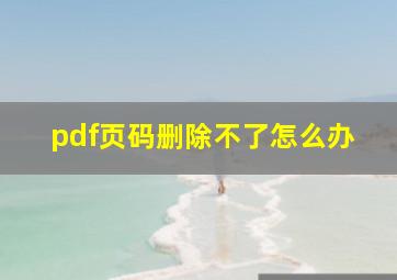 pdf页码删除不了怎么办