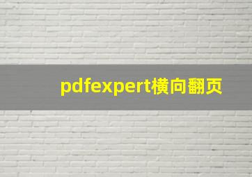 pdfexpert横向翻页