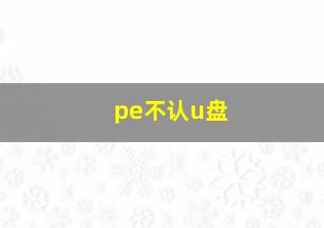 pe不认u盘