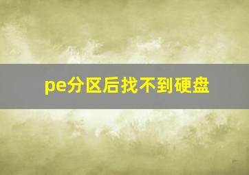 pe分区后找不到硬盘