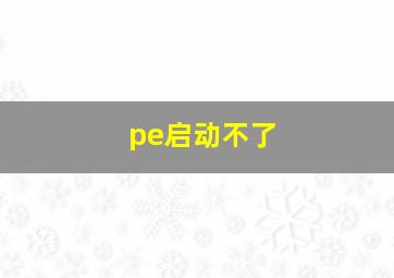 pe启动不了