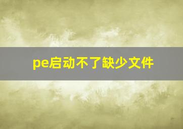 pe启动不了缺少文件