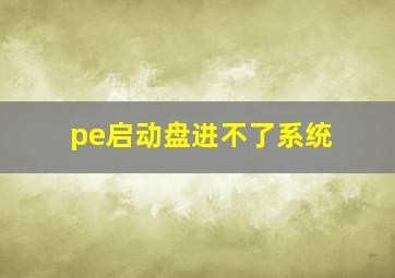 pe启动盘进不了系统