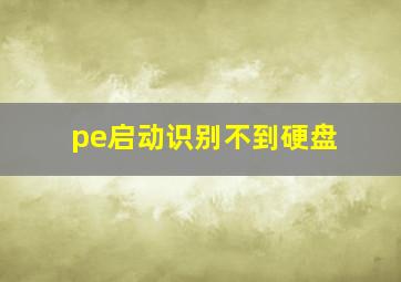 pe启动识别不到硬盘