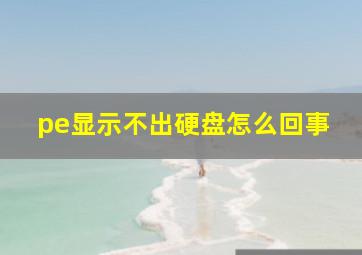 pe显示不出硬盘怎么回事