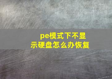 pe模式下不显示硬盘怎么办恢复