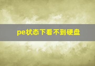 pe状态下看不到硬盘