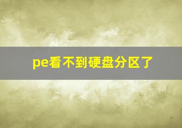 pe看不到硬盘分区了