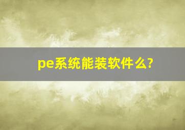 pe系统能装软件么?