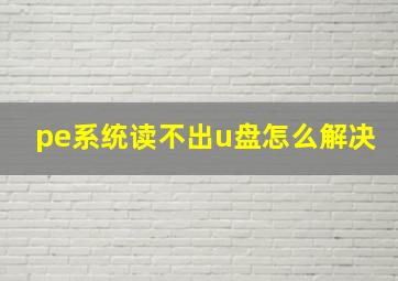 pe系统读不出u盘怎么解决