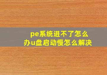 pe系统进不了怎么办u盘启动慢怎么解决