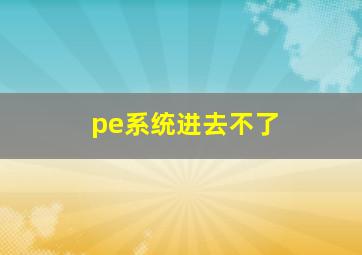 pe系统进去不了