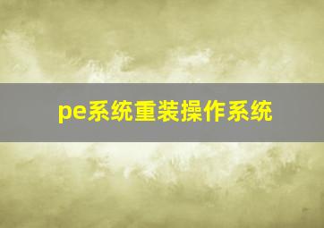 pe系统重装操作系统