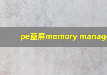 pe蓝屏memory management