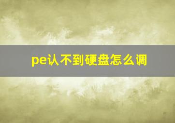 pe认不到硬盘怎么调