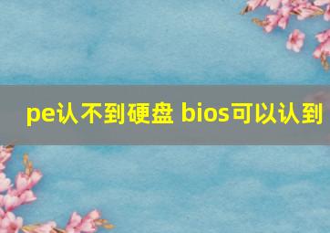 pe认不到硬盘 bios可以认到