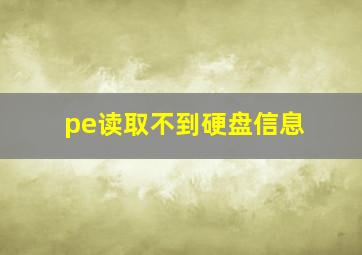 pe读取不到硬盘信息