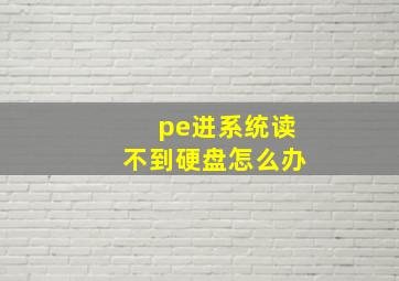 pe进系统读不到硬盘怎么办