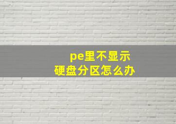 pe里不显示硬盘分区怎么办