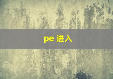 pe 进入