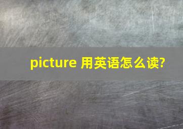 picture 用英语怎么读?