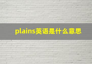 plains英语是什么意思